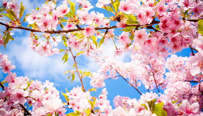 Как мы работаем на майские праздники